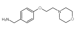[4-(2-吗啉乙氧基)苯基]甲胺结构式