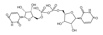 Diuridine diphosphate Structure