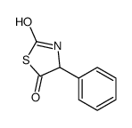 4-phenyl-1,3-thiazolidine-2,5-dione Structure