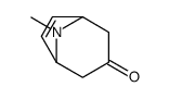 8-methyl-8-azabicyclo[3.2.1]oct-6-en-3-one Structure