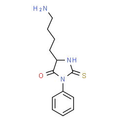 PHENYLTHIOHYDANTOIN LYSINE) Structure