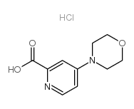 4-吗啉-4-基-吡啶-2-羧酸盐酸盐结构式