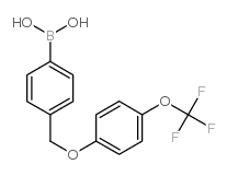 4-[4’-(三氟甲氧基)苯氧基甲基]苯基硼酸结构式