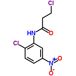 N-(2-CHLORO-5-NITROPHENYL)-3-CHLOROPROPANAMIDE structure