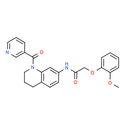 2-(2-methoxyphenoxy)-N-[1-(pyridin-3-ylcarbonyl)-1,2,3,4-tetrahydroquinolin-7-yl]acetamide结构式