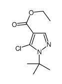 1-叔丁基-5-氯吡唑-4-羧酸乙酯结构式