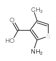 2-氨基-4-甲基噻吩-3-羧酸结构式