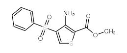 3-氨基-4-苯磺酰基噻酚-2-甲酸甲酯结构式