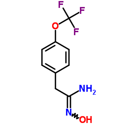 BENZENEETHANIMIDAMIDE,N-HYDROXY-4-(TRIFLUOROMETHOXY)-结构式