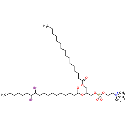 1-棕榈酰-2-(11,12-二溴)硬脂酰-sn-甘油-3-磷酸胆碱结构式