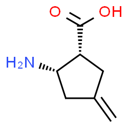 (1R,2S)-2-amino-4-methylidene-cyclopentane-1-carboxylic acid Structure