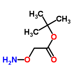 2-(氨基氧基)乙酸叔丁酯结构式