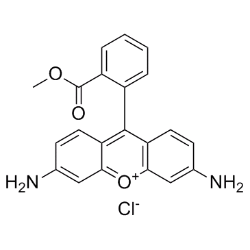 Rhodamine 123 Structure