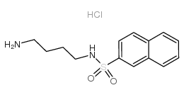N-(4-氨基丁基)-2-萘磺酰胺盐酸盐结构式