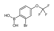 (2-Bromo-4-(trifluoromethoxy)phenyl)boronic acid Structure