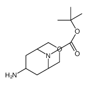 7-氨基-3-氧杂-3-氧杂-9-氮杂双环[3.3.1]壬烷-9-羧酸叔丁酯结构式