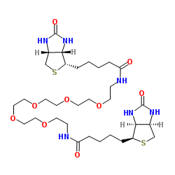 1,17-双生物素氨基-3,6,9,12,15-五氧杂十七烷图片