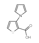 3-(1H-吡洛-1-基)噻吩-2-羧酸结构式