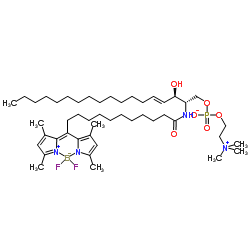 N-[11-(二氟亚甲基二硼化硼)十一烷酰基] -D-赤型-鞘氨醇磷酰胆碱结构式