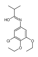 N-(3-chloro-4,5-diethoxyphenyl)-2-methylpropanamide结构式