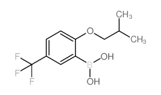 2-异丁氧基-5-(三氟甲基)苯硼酸结构式