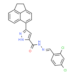 (E)-N-(2,4-dichlorobenzylidene)-3-(1,2-dihydroacenaphthylen-5-yl)-1H-pyrazole-5-carbohydrazide结构式