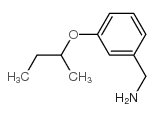 [3-(仲丁氧基)苯基]甲胺结构式
