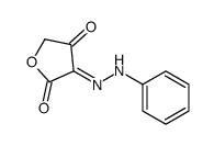 3-(phenylhydrazinylidene)oxolane-2,4-dione结构式