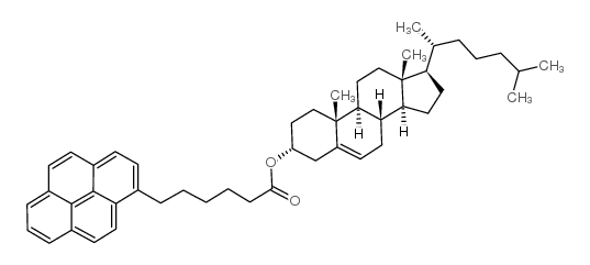 Cholesteryl (pyren-1-yl)hexanoate Structure