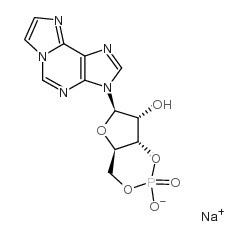 1,N6-亚乙烯基腺苷-3',5'-环单磷酸钠盐结构式