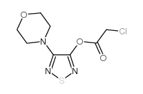 4-MORPHOLIN-4-YL-1,2,5-THIADIAZOL-3-YL CHLOROACETATE Structure