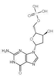 2'-deoxyguanosine 5'-monophosphate Structure
