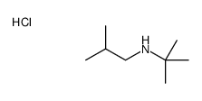 N-tert-butyl-2-methylpropan-1-amine,hydrochloride Structure