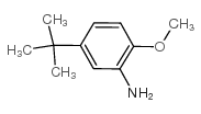 2-Amine-4-tert-butylanisole Structure