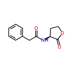 N-phenylacetyl-L-Homoserine lactone Structure
