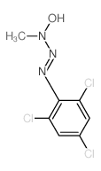 Hydroxylamine,N-methyl-N-[2-(2,4,6-trichlorophenyl)diazenyl]- Structure
