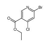 ethyl 6-bromo-4-chloronicotinate picture