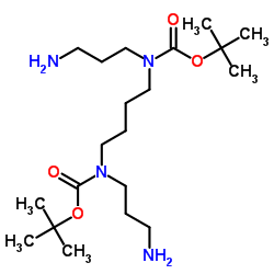 丁烷-1,4-二基双((3-氨基丙基)氨基甲酸二叔丁酯)结构式
