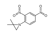 1-(2,4-dinitrophenyl)-2,2-dimethylaziridine结构式