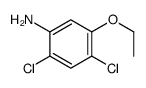 Benzenamine, 2,4-dichloro-5-ethoxy- (9CI) structure