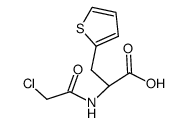 (+/-)-2-(chloroacetyl-amino)-3-[2]thienyl-propionic acid Structure