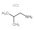 异丁胺盐酸盐结构式