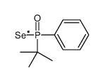 [tert-butyl(λ1-selanyl)phosphoryl]benzene结构式