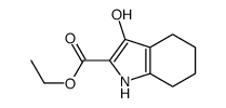 ethyl 3-hydroxy-4,5,6,7-tetrahydro-1H-indole-2-carboxylate Structure