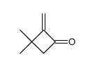 3,3-dimethyl-2-methylene-cyclobutanon结构式