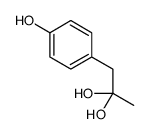 1-(4-hydroxyphenyl)propane-2,2-diol Structure