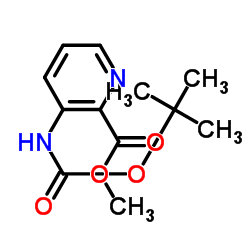 3-(BOC-氨基)吡啶甲酸甲酯结构式