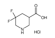 5,5-二氟哌啶-3-羧酸结构式