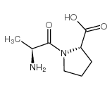 L-丙氨酰-L-脯氨酸结构式