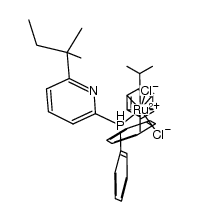 [RuCl2(η3:η3-p-cymene){κ1-(P)-PPh2(py-6-tert-amyl)}] Structure